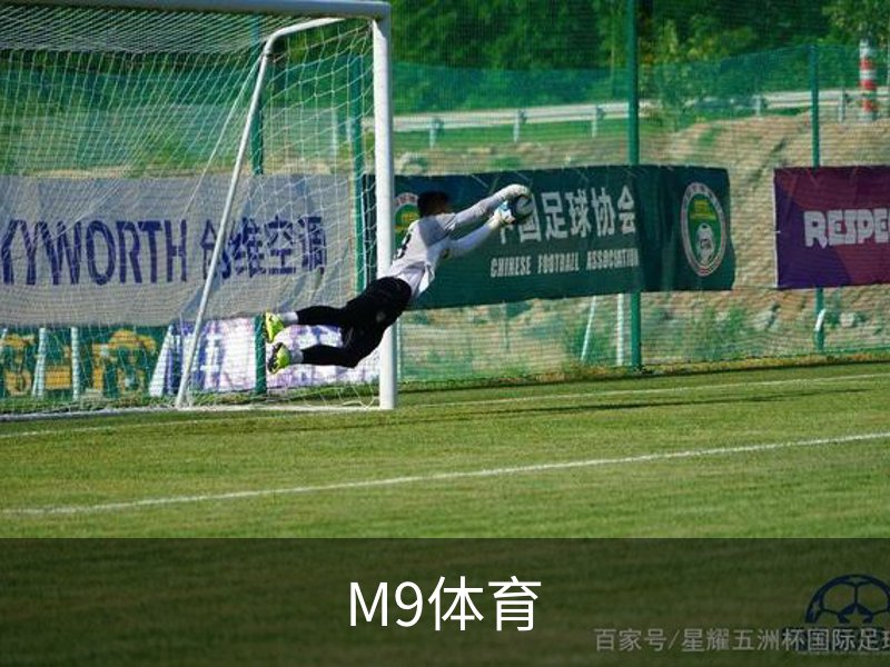 M9体育简介